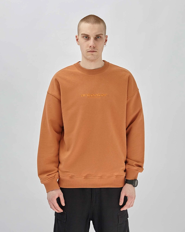 Толстовка Anteater Crewneck - фото 1