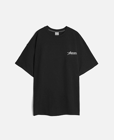 Футболка Anteater Phat Tee