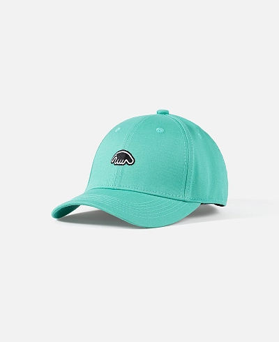 Кепка Anteater Baseball