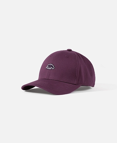 Кепка Anteater Baseball
