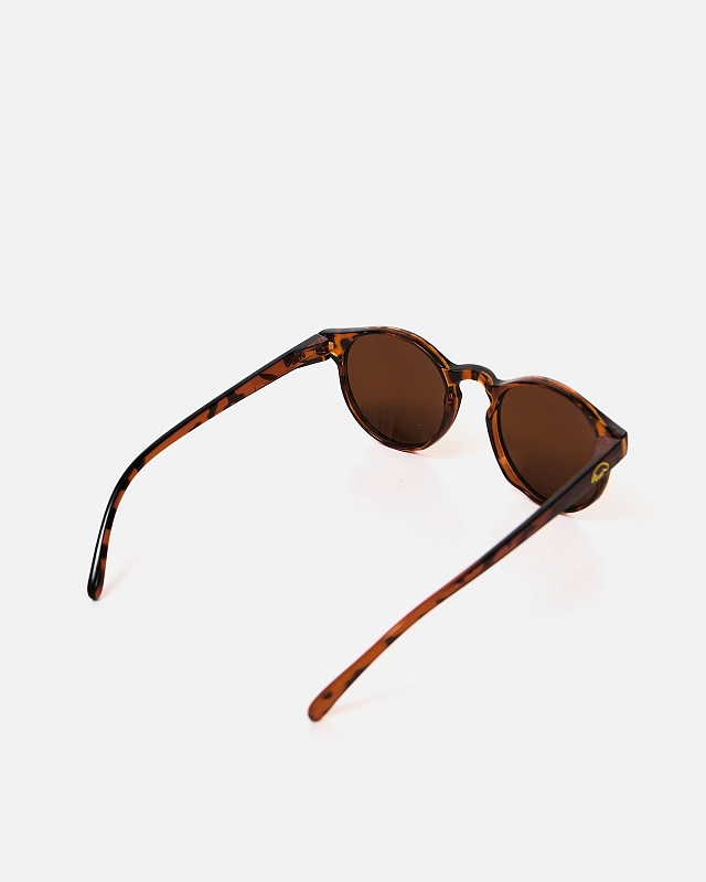 Очки Anteater Doctor - фото 7