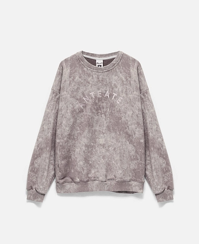 Толстовка Anteater Crewneck