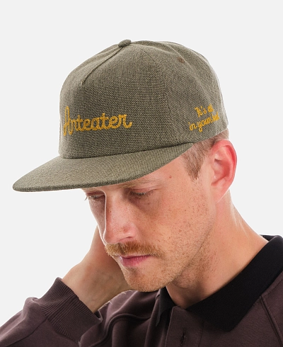 Кепка Anteater Snap