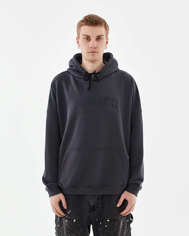 Толстовка Anteater Hoodie - фото 1