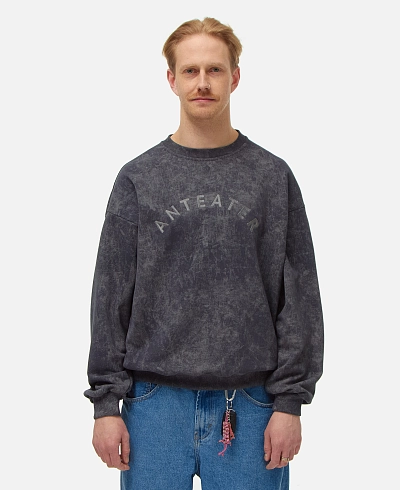 Толстовка Anteater Crewneck