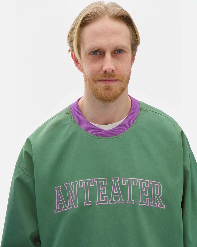 Толстовка Anteater Jersey - фото 3