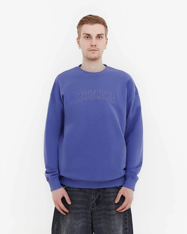 Толстовка Anteater Crewneck - фото 1