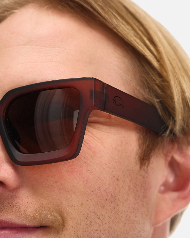 Очки Anteater President - фото 3