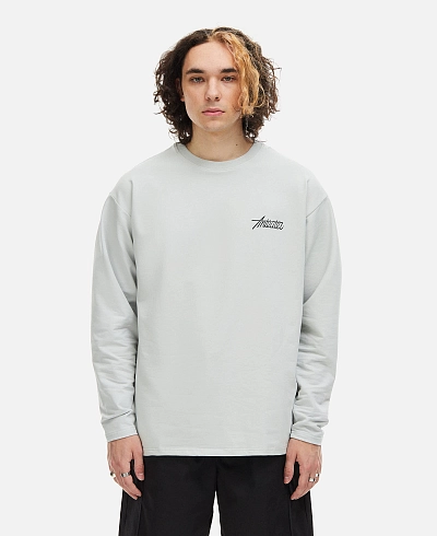 Лонгслив Anteater Phat Sleeve