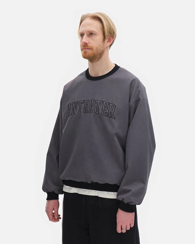 Толстовка Anteater Jersey - фото 2