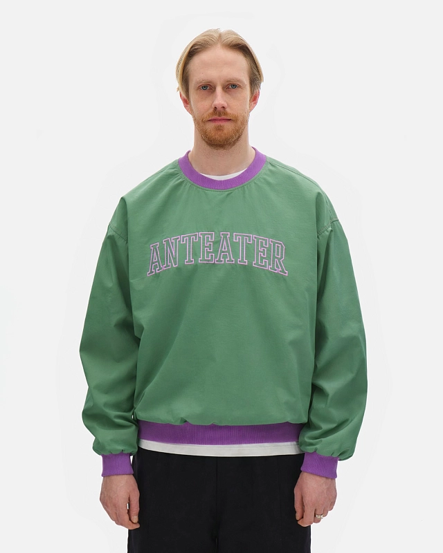 Толстовка Anteater Jersey - фото 1