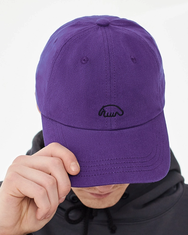 Кепка Anteater 6Panel - фото 4