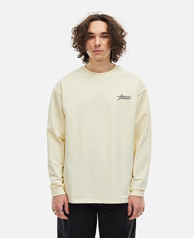 Лонгслив Anteater Phat Sleeve