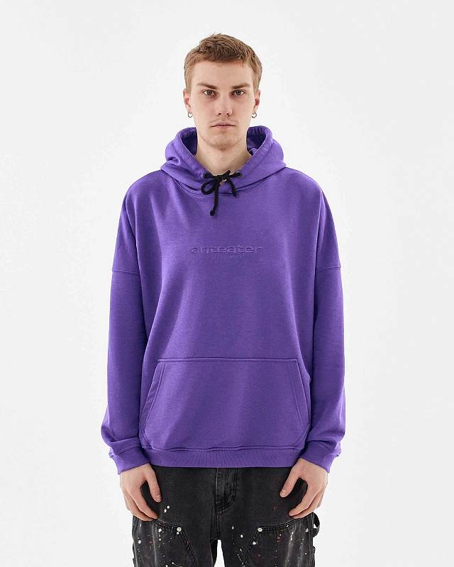 Толстовка Anteater Hoodie - фото 1