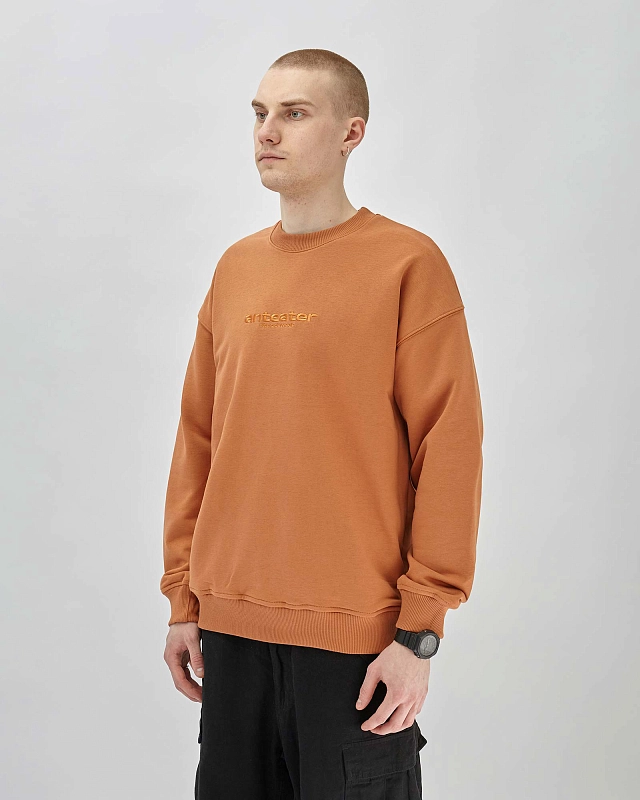 Толстовка Anteater Crewneck - фото 2