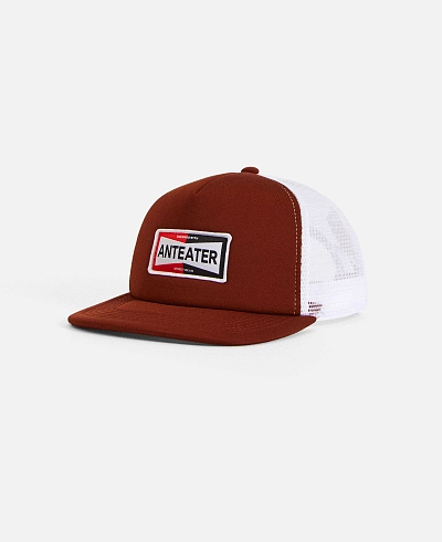 Кепка Anteater Trucker