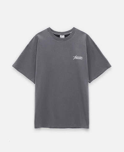 Футболка Anteater Phat Tee
