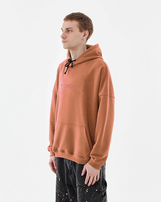 Толстовка Anteater Hoodie - фото 2